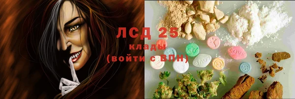 шишки Алексин