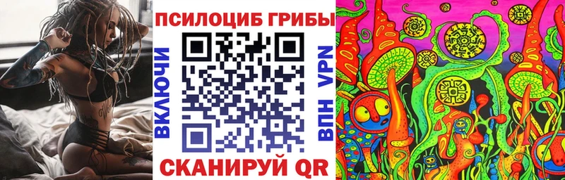 МЕГА ТОР Артём Галлюциногенные грибы мицелий купить наркотик
